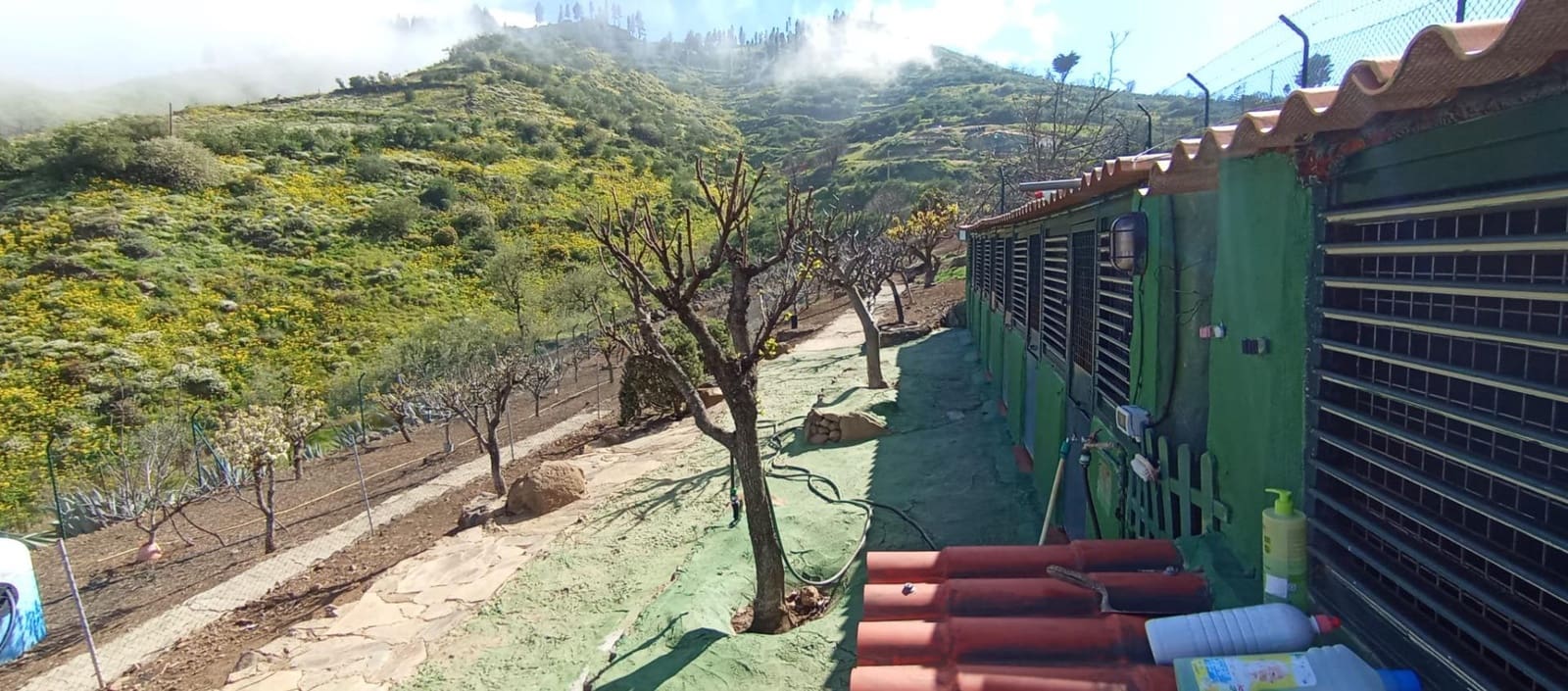 2 camera da letto Finca/Casa di Campagna in vendita in Vega de San Mateo - 320.000 € (Rif: 9447158)