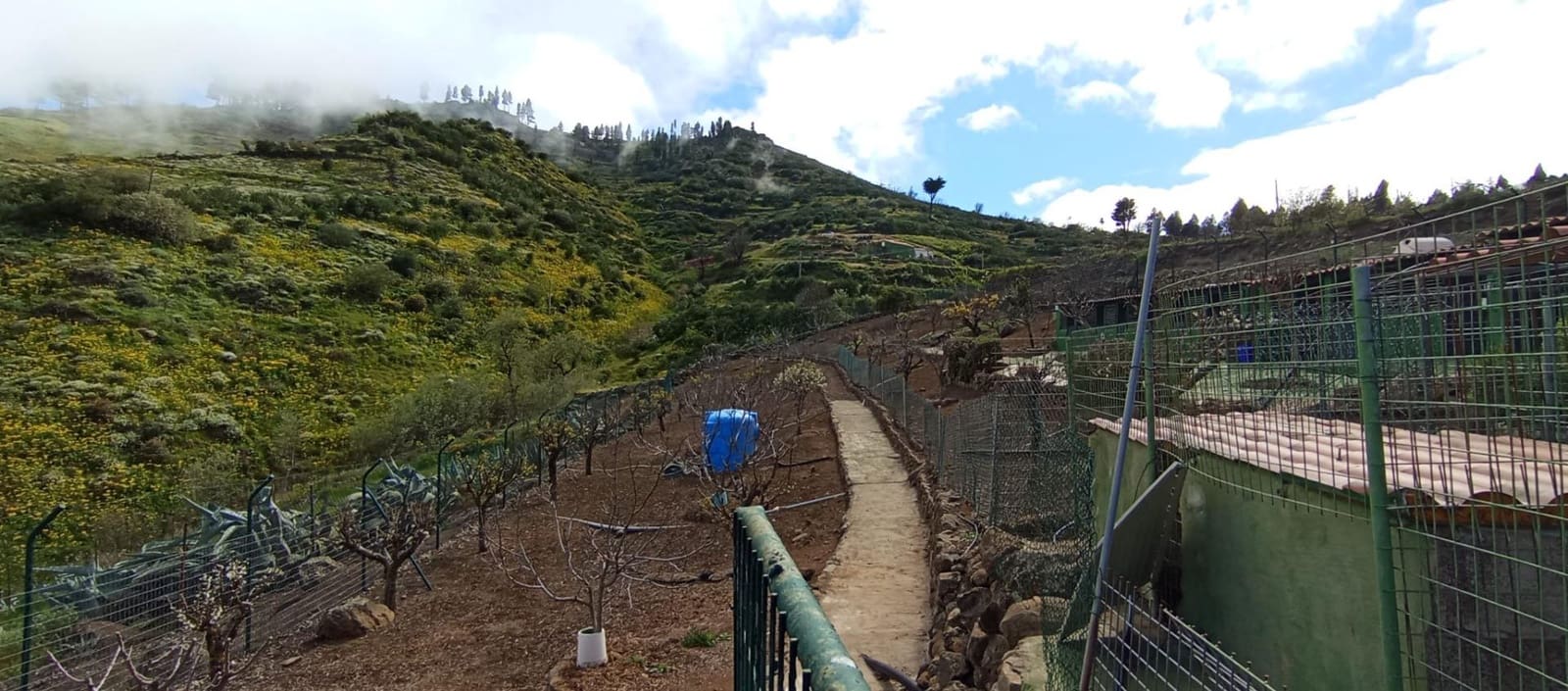 2 camera da letto Finca/Casa di Campagna in vendita in Vega de San Mateo - 320.000 € (Rif: 9447158)