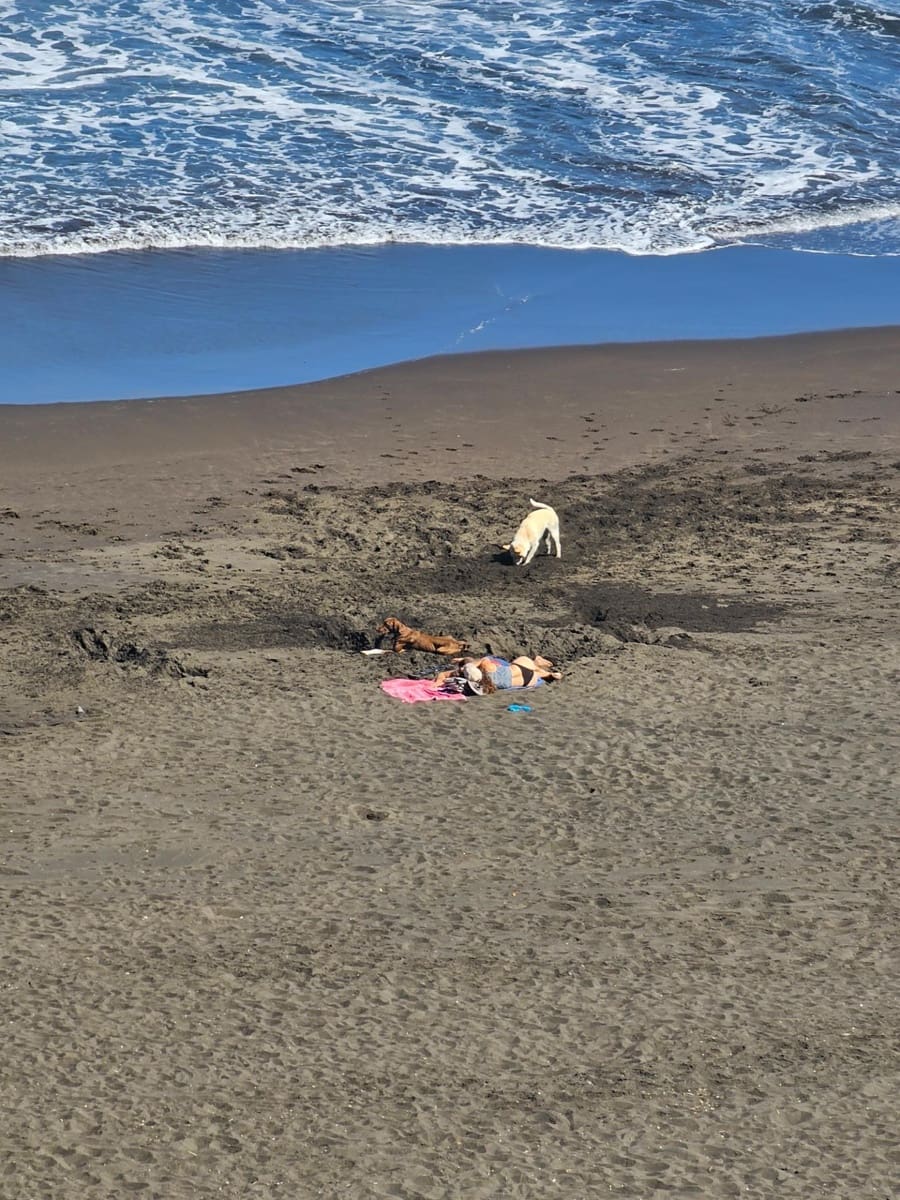 Ático de 2 habitaciones en Telde en venta con garaje - 245.000 € (Ref: 9447161)