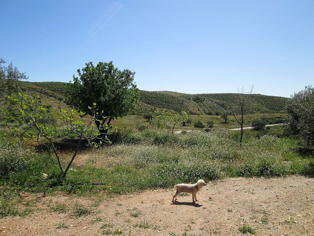 4 soveværelse Finca/Landehus til salg i Sorbas med garage - € 225.000 (Ref: 4543134)