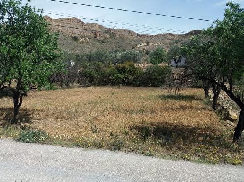 Undeveloped Land for sale in Bédar - € 83,000 (Ref: 4819762)