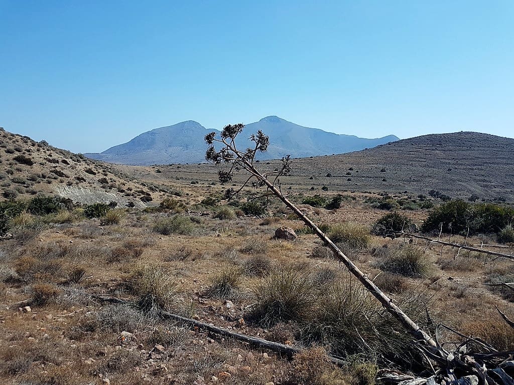 Finca/Casa Rural de 4 habitaciones en El Cabo de Gata en venta - 425.000 € (Ref: 4819768)