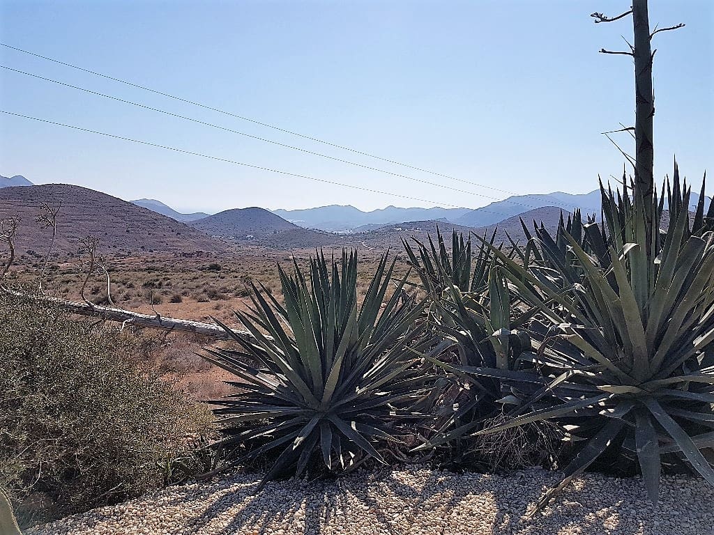 Finca/Casa Rural de 4 habitaciones en El Cabo de Gata en venta - 425.000 € (Ref: 4819768)