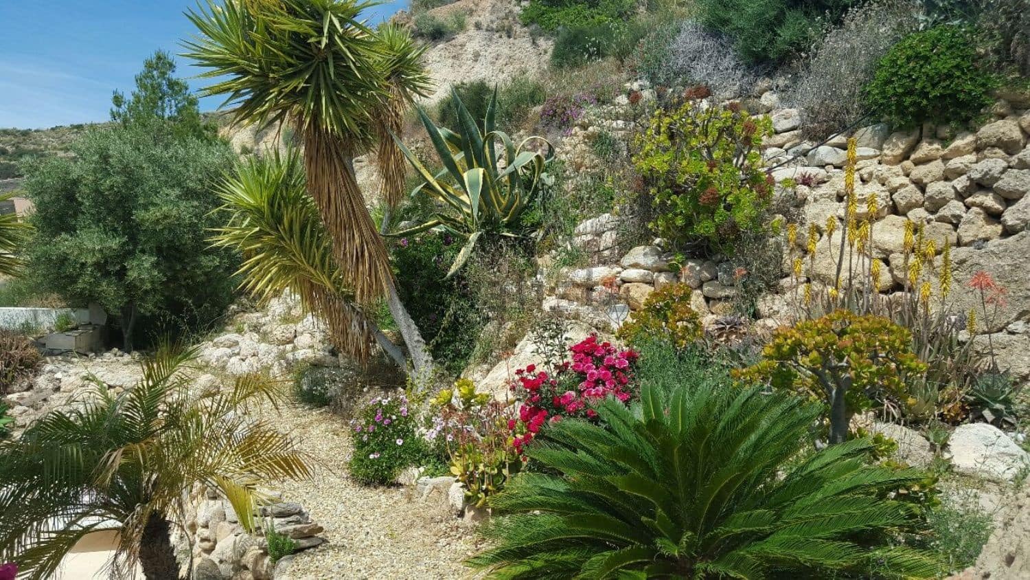 8 soveværelse Finca/Landehus til salg i Cariatiz - € 385.000 (Ref: 4819779)