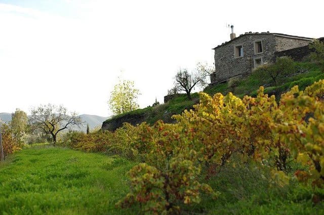 3 soverom Finca/Herregård til salgs i Senés - € 260 000 (Ref: 4819791)