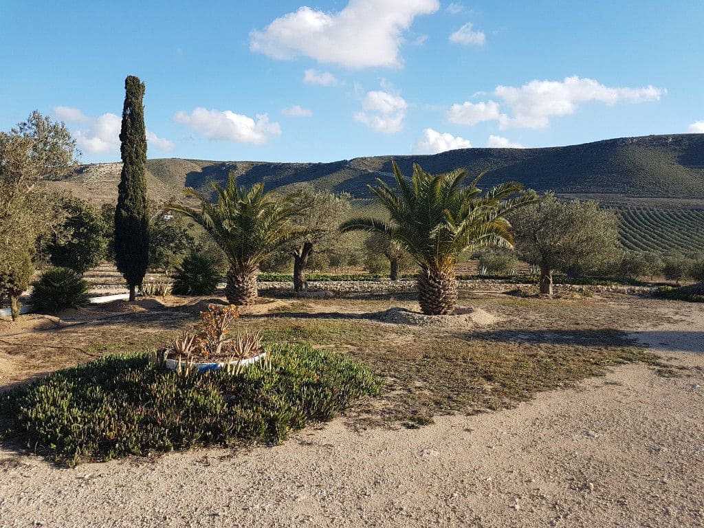 2 chambre Finca/Maison de Campagne à vendre à Las Negras - 398 000 € (Ref: 4831799)