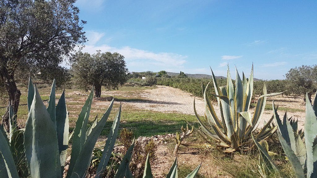 2 chambre Finca/Maison de Campagne à vendre à Las Negras - 398 000 € (Ref: 4831799)