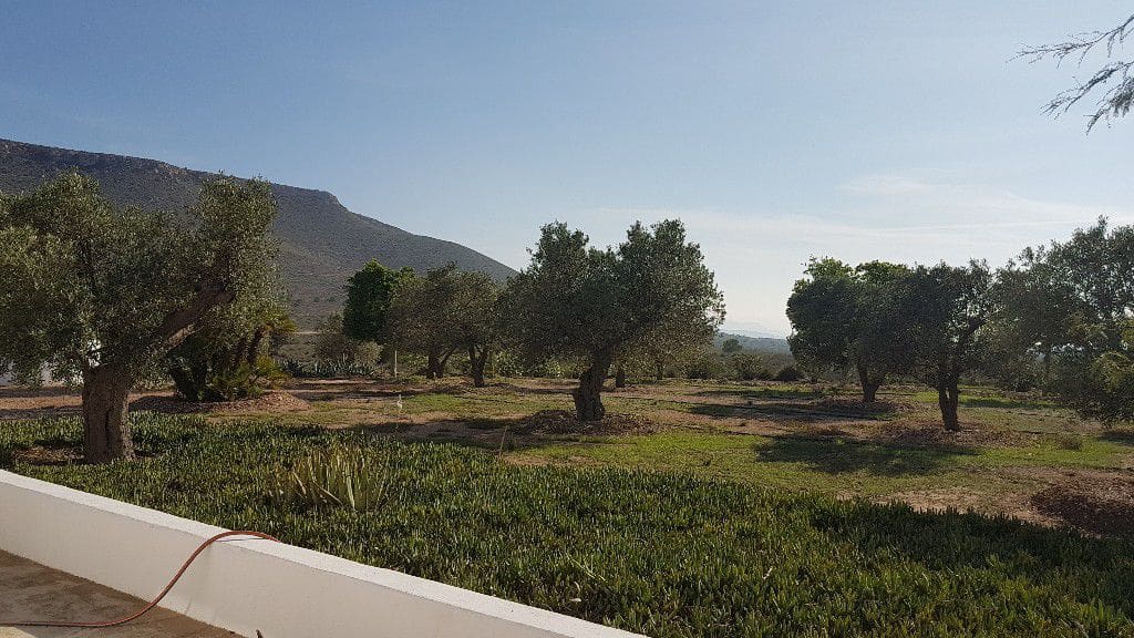 2 chambre Finca/Maison de Campagne à vendre à Las Negras - 398 000 € (Ref: 4831799)