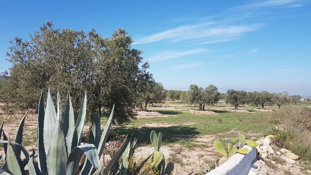 2 chambre Finca/Maison de Campagne à vendre à Las Negras - 398 000 € (Ref: 4831799)