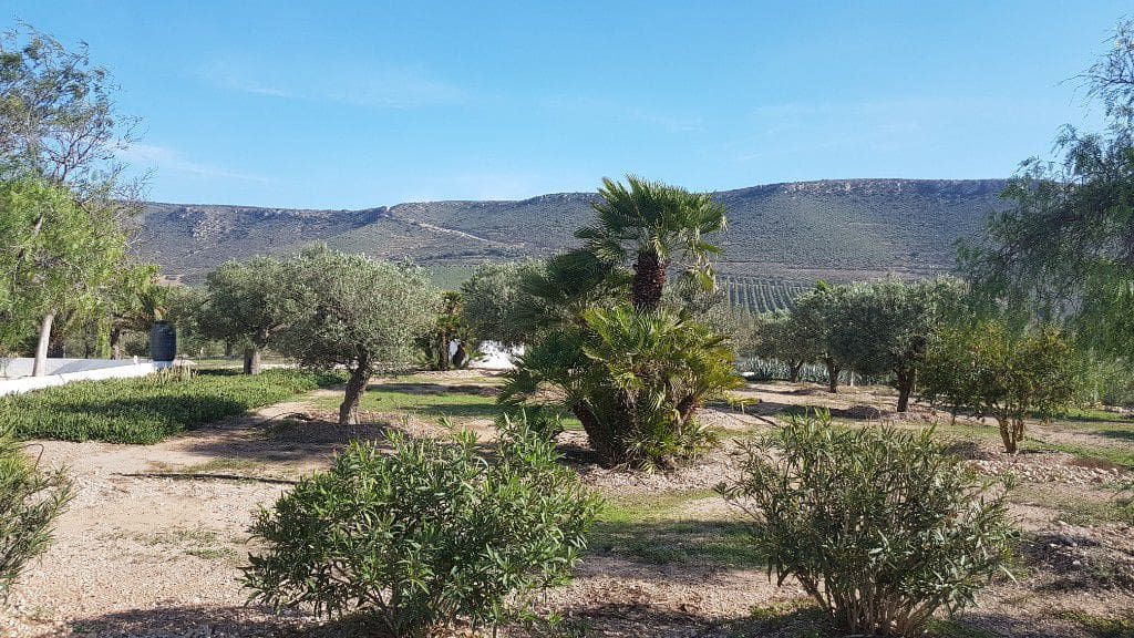 2 chambre Finca/Maison de Campagne à vendre à Las Negras - 398 000 € (Ref: 4831799)