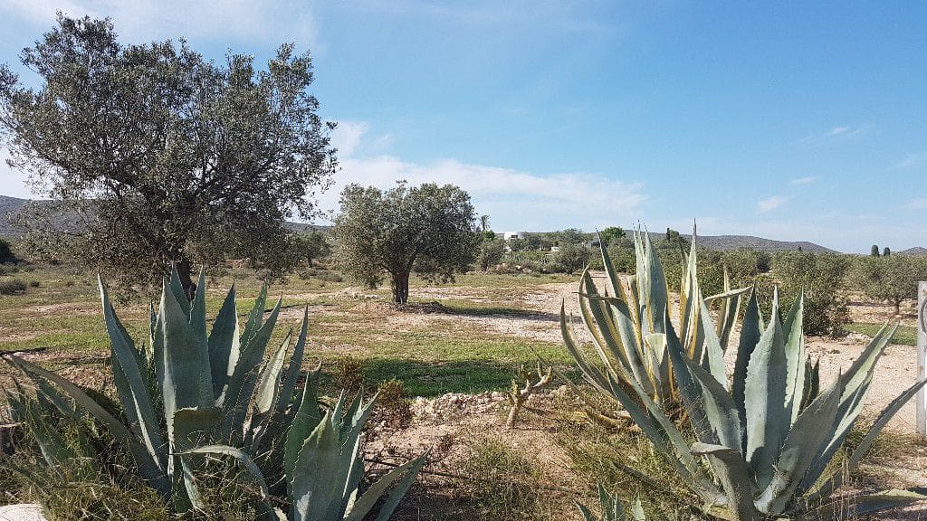 2 chambre Finca/Maison de Campagne à vendre à Las Negras - 398 000 € (Ref: 4831799)