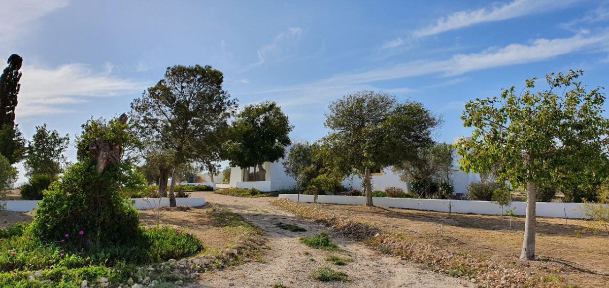 2 chambre Finca/Maison de Campagne à vendre à Las Negras - 398 000 € (Ref: 4831799)