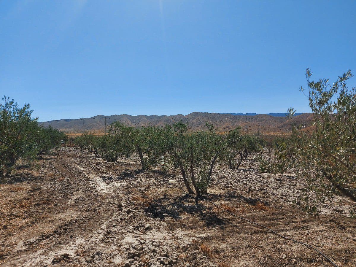 3 soverom Finca/Herregård til salgs i Tabernas - € 115 000 (Ref: 5053331)