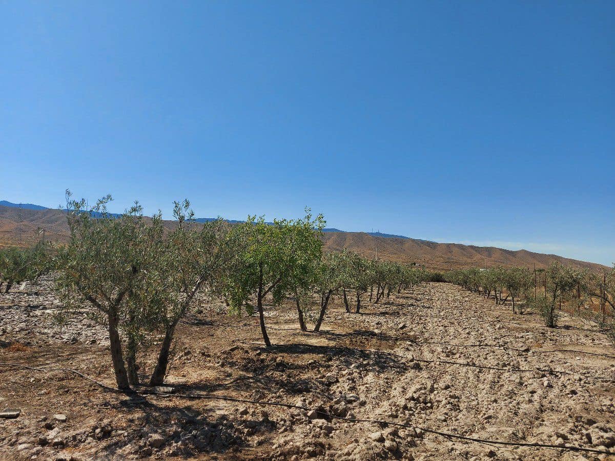 3 soverom Finca/Herregård til salgs i Tabernas - € 115 000 (Ref: 5053331)