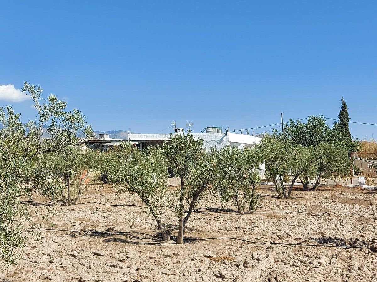 3 soverom Finca/Herregård til salgs i Tabernas - € 115 000 (Ref: 5053331)