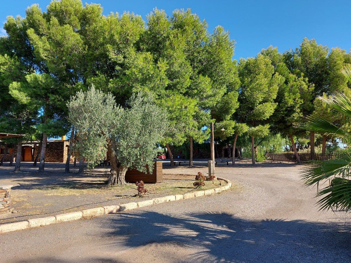 14 camera da letto Hotel in vendita in Tabernas - 1.600.000 € (Rif: 5691169)