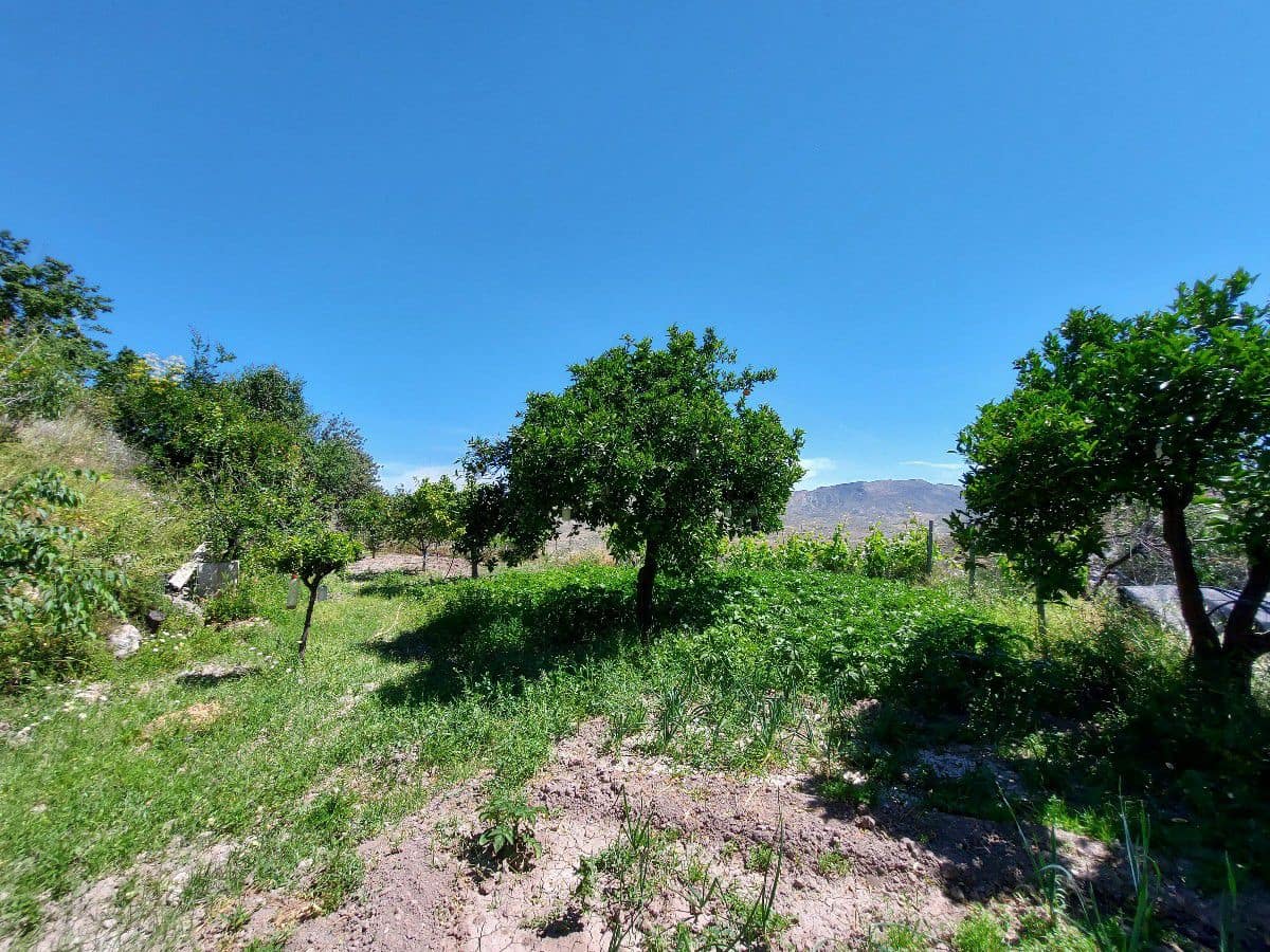 5 slaapkamer Finca/Landhuis te koop in Lucainena de las Torres - € 374.000 (Ref: 6085689)