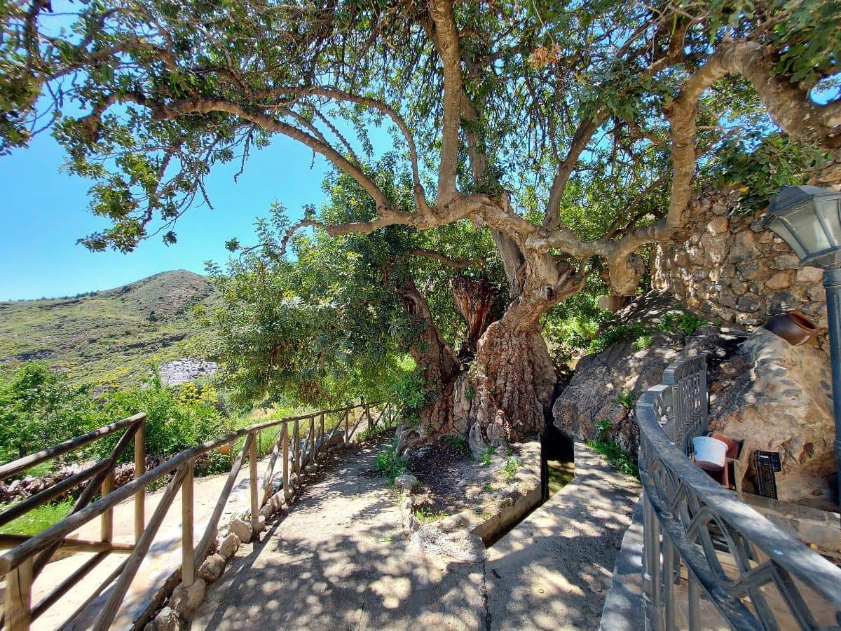 5 slaapkamer Finca/Landhuis te koop in Lucainena de las Torres - € 374.000 (Ref: 6085689)