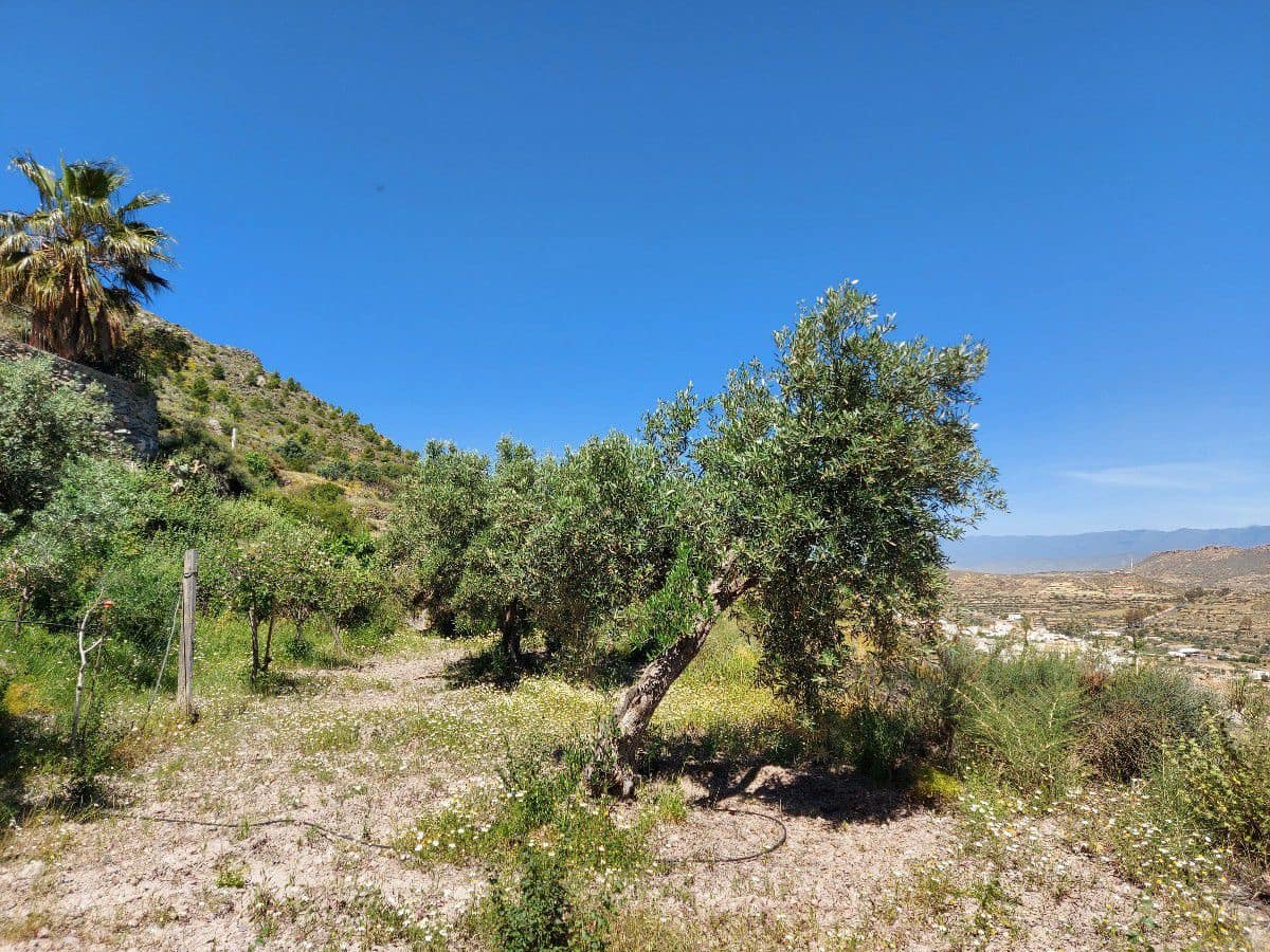 5 slaapkamer Finca/Landhuis te koop in Lucainena de las Torres - € 374.000 (Ref: 6085689)