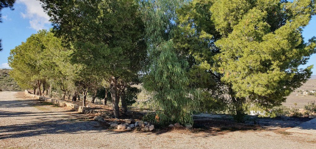 5 soveværelse Finca/Landehus til salg i Agua Amarga med garage - € 950.000 (Ref: 6566589)