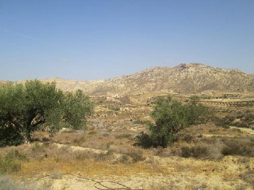 Terre non Aménagée à vendre à Sorbas - 115 000 € (Ref: 6816244)