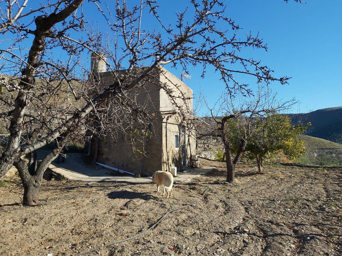 8 chambre Finca/Maison de Campagne à vendre à Gergal - 350 000 € (Ref: 6884668)
