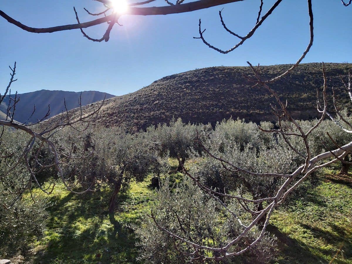 8 chambre Finca/Maison de Campagne à vendre à Gergal - 350 000 € (Ref: 6884668)