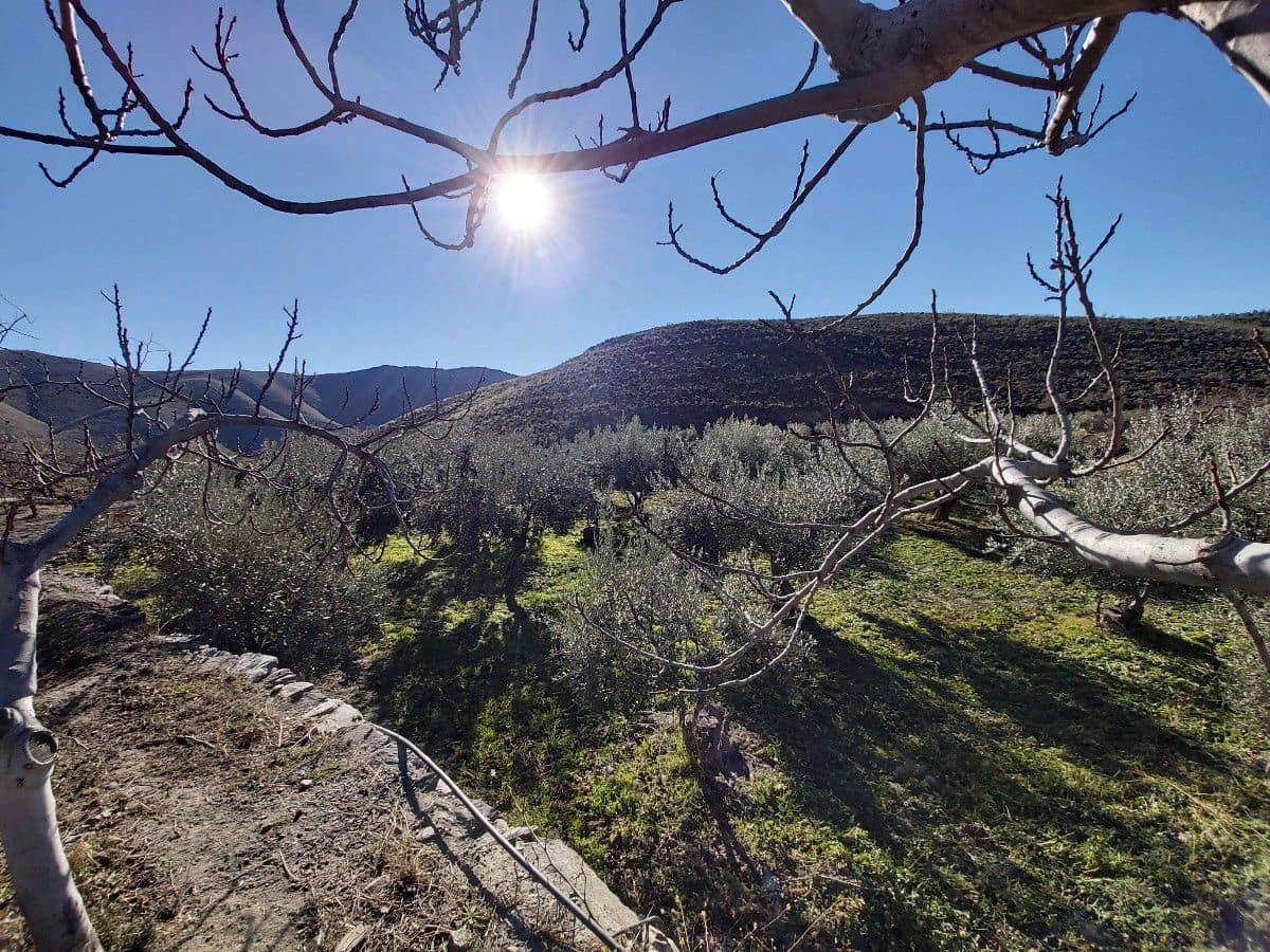 8 chambre Finca/Maison de Campagne à vendre à Gergal - 350 000 € (Ref: 6884668)