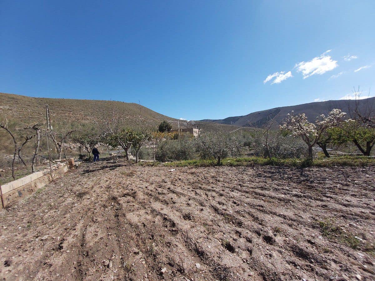 8 chambre Finca/Maison de Campagne à vendre à Gergal - 350 000 € (Ref: 6884668)