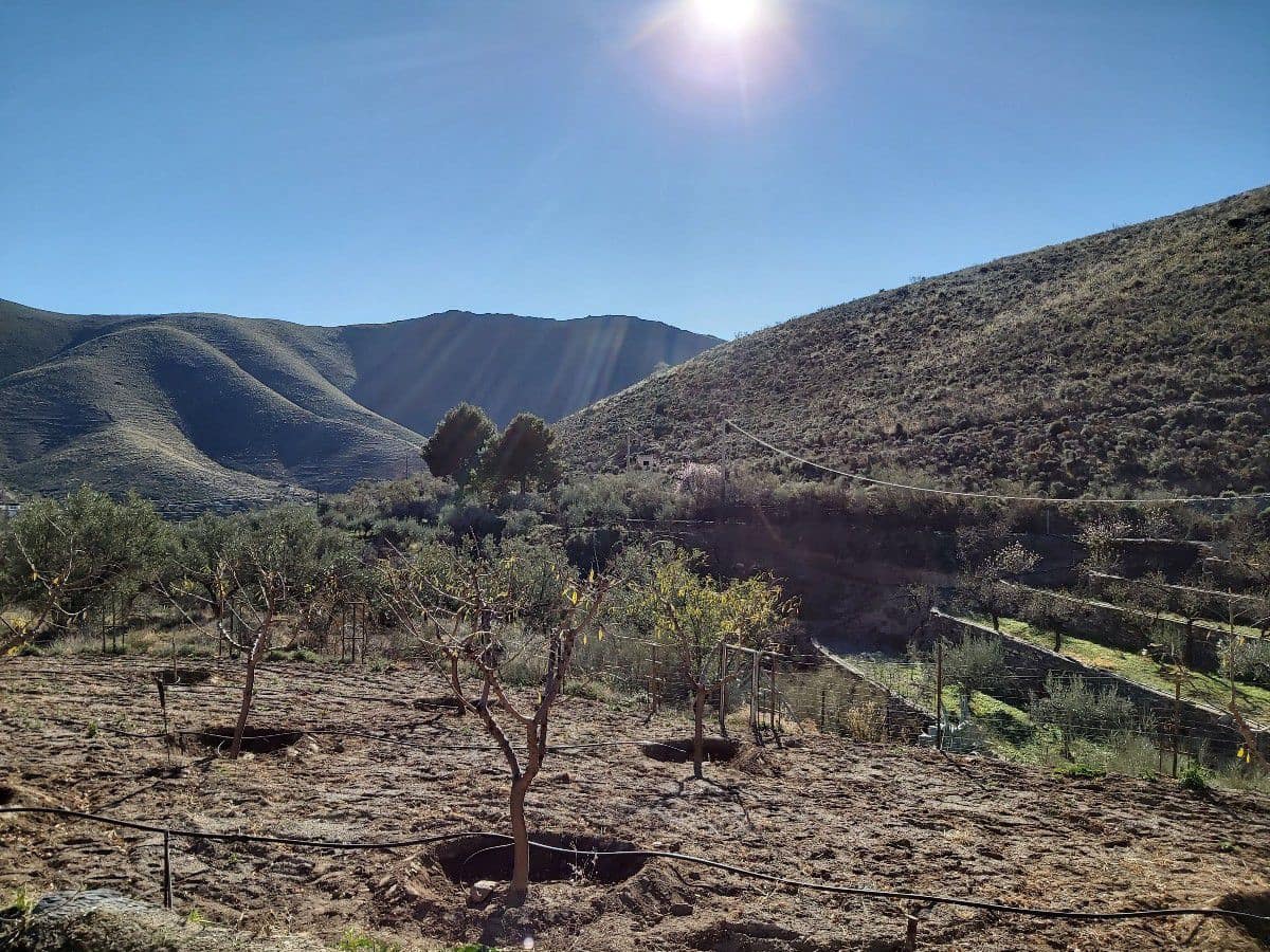 8 chambre Finca/Maison de Campagne à vendre à Gergal - 350 000 € (Ref: 6884668)