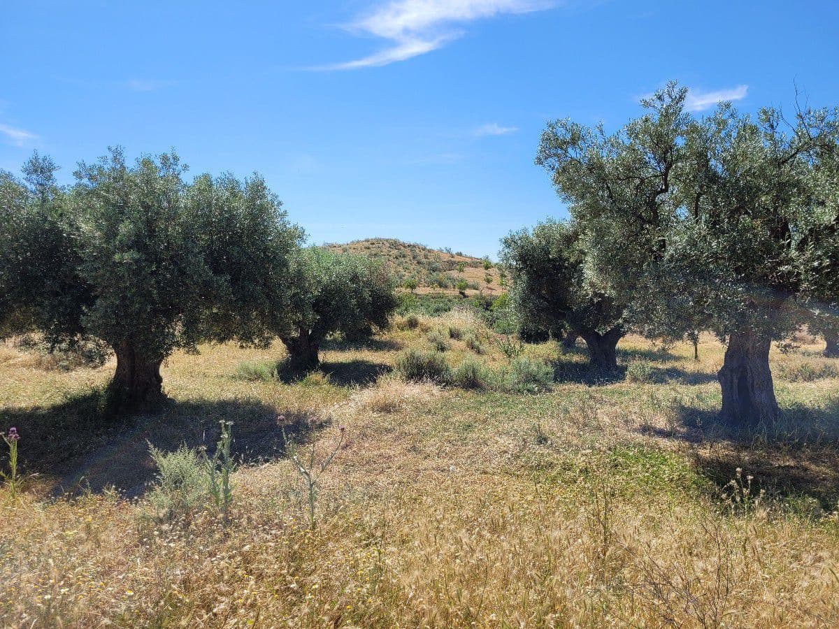 4 soveværelse Finca/Landehus til salg i Sorbas - € 98.000 (Ref: 6976984)