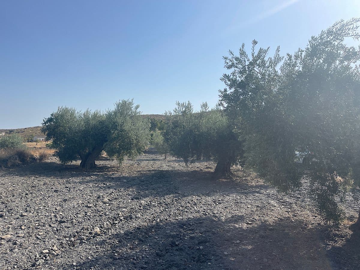 2 camera da letto Finca/Casa di Campagna in vendita in Senes con garage - 139.950 € (Rif: 6988778)