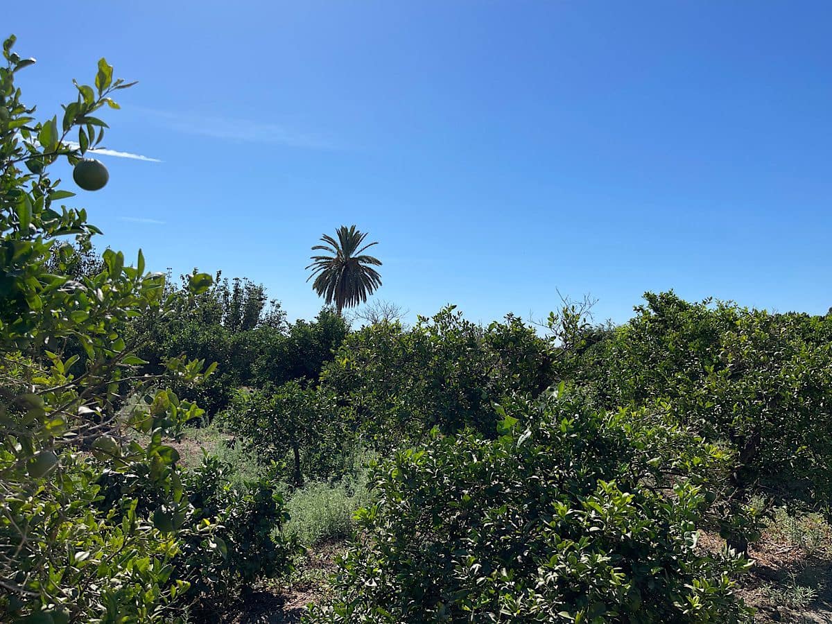 4 soveværelse Finca/Landehus til salg i Benahadux med garage - € 292.000 (Ref: 7190412)