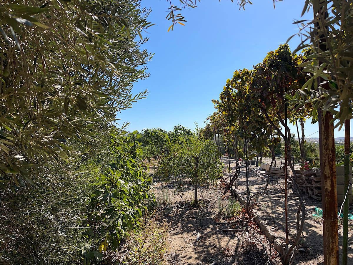 4 soveværelse Finca/Landehus til salg i Benahadux med garage - € 292.000 (Ref: 7190412)