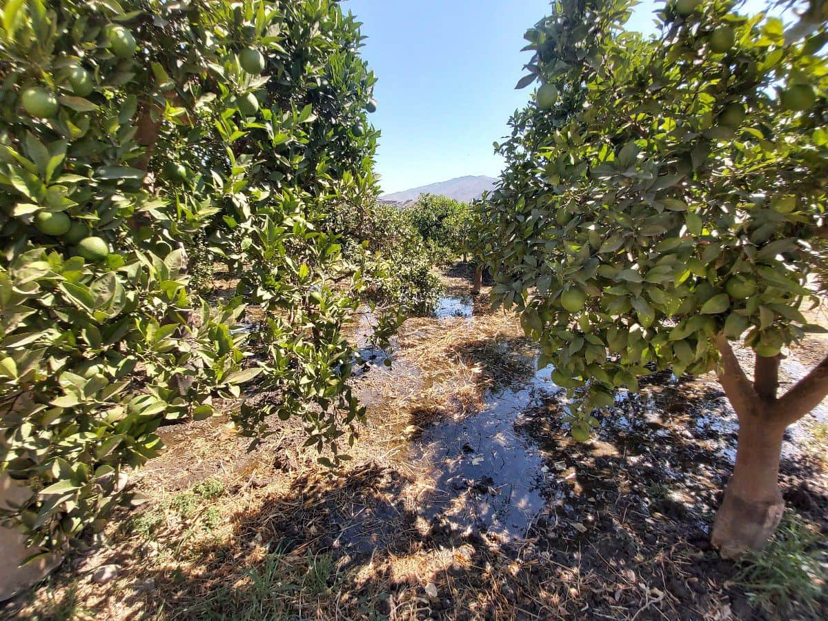 6 bedroom Finca/Country House for sale in Gador with garage - € 400,000 (Ref: 7239082)