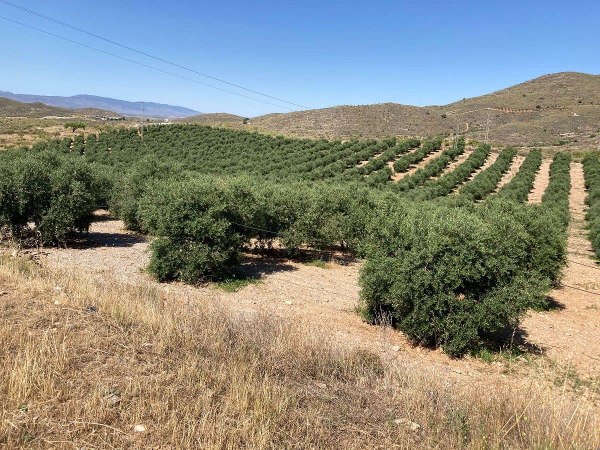 Terre non Aménagée à vendre à Sorbas - 88 500 € (Ref: 7257376)