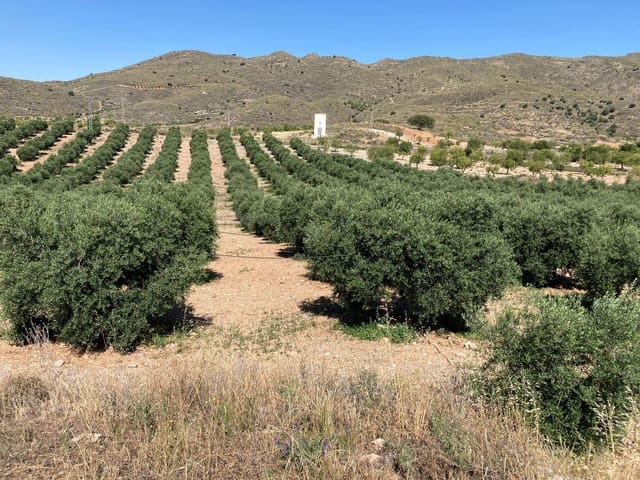 Undeveloped Land for sale in Sorbas - € 88,500 (Ref: 7257376)