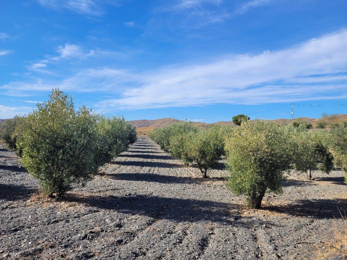 1 bedroom Finca/Country House for sale in Senes with garage - € 98,000 (Ref: 7498639)