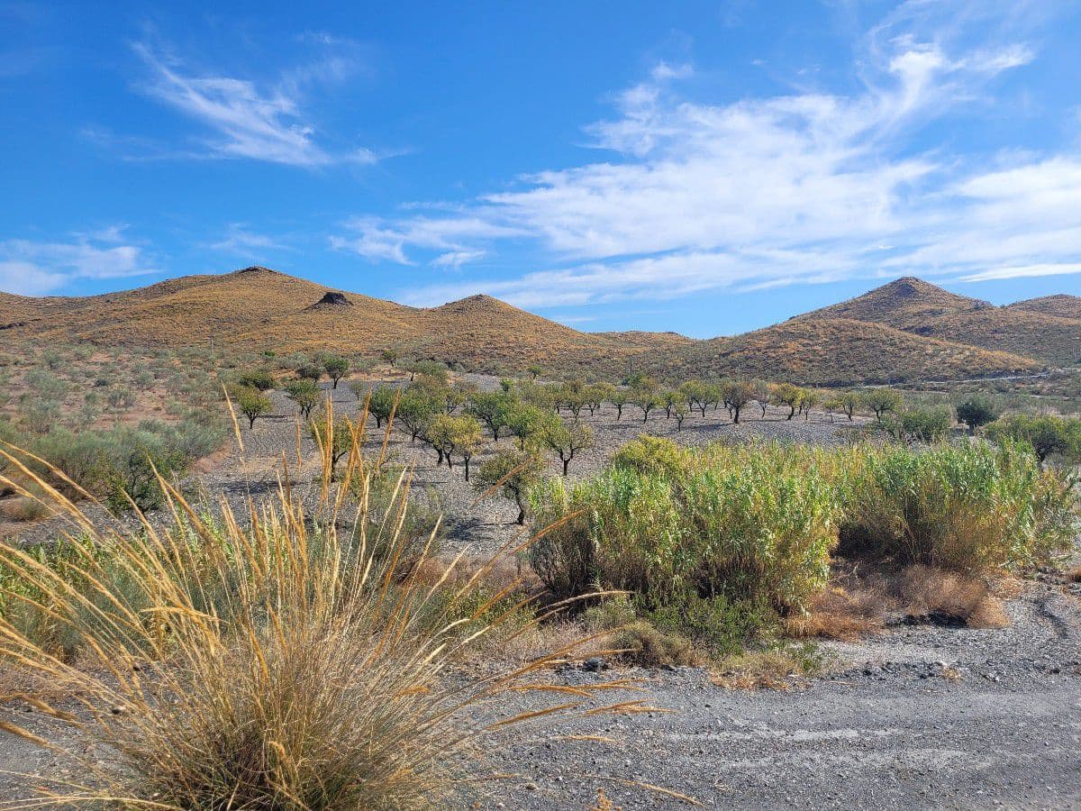 1 bedroom Finca/Country House for sale in Senes with garage - € 98,000 (Ref: 7498639)