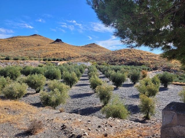 1 quarto Quinta/Casa Rural para venda em Senés com garagem - 98 000 € (Ref: 7498639)