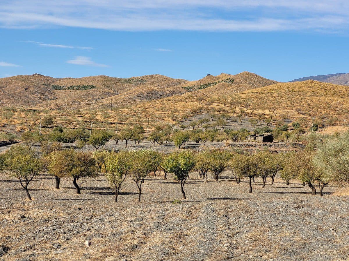 1 bedroom Finca/Country House for sale in Senes with garage - € 98,000 (Ref: 7498639)