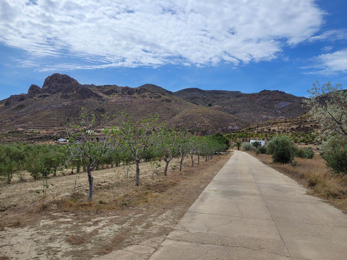 7 soverom Finca/Herregård til salgs i Lucainena de las Torres - € 640 000 (Ref: 7555782)