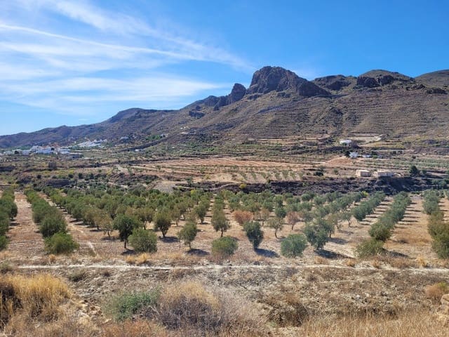 7 soverom Finca/Herregård til salgs i Lucainena de las Torres - € 640 000 (Ref: 7555782)