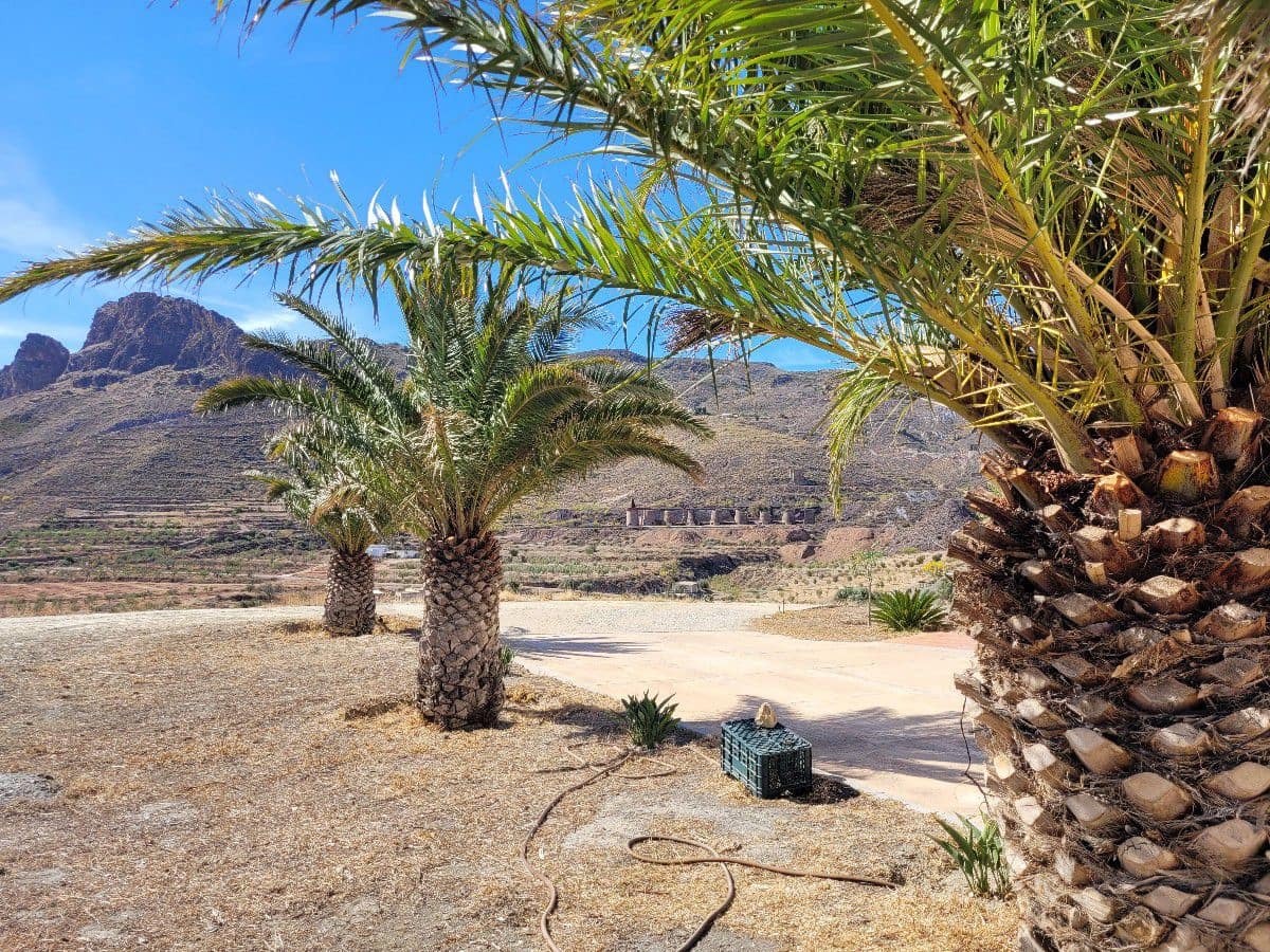 7 soverom Finca/Herregård til salgs i Lucainena de las Torres - € 640 000 (Ref: 7555782)