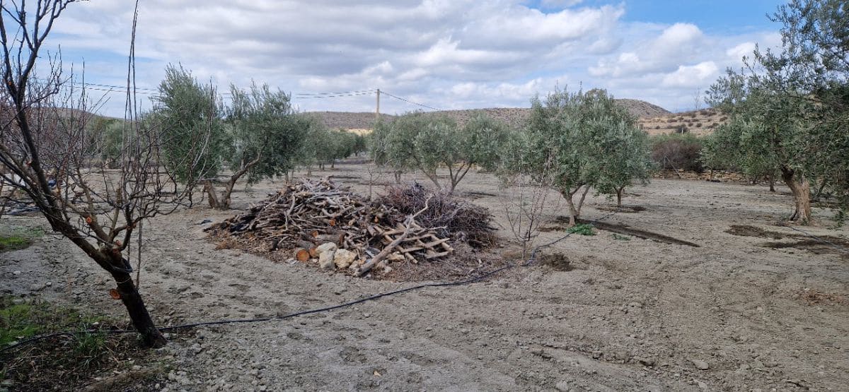 3 soveværelse Finca/Landehus til salg i Tabernas med garage - € 275.000 (Ref: 7729283)