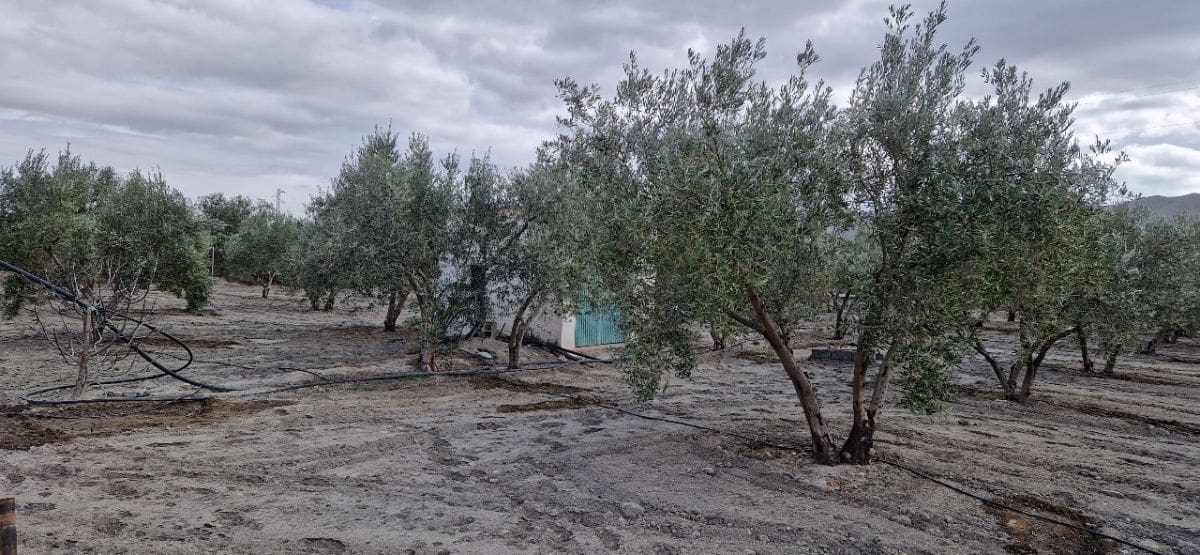 3 soveværelse Finca/Landehus til salg i Tabernas med garage - € 275.000 (Ref: 7729283)