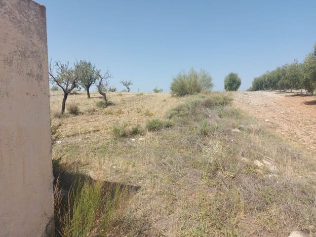Undeveloped Land for sale in Sorbas - € 60,000 (Ref: 7742128)