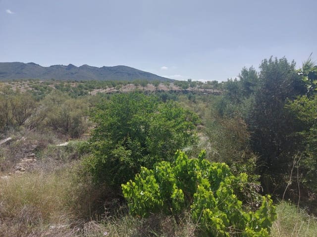 Undeveloped Land for sale in Sorbas - € 60,000 (Ref: 7742128)