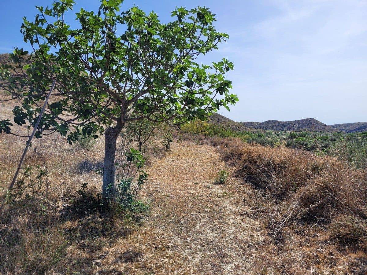 3 soveværelse Finca/Landehus til salg i Sorbas med garage - € 105.000 (Ref: 7897325)