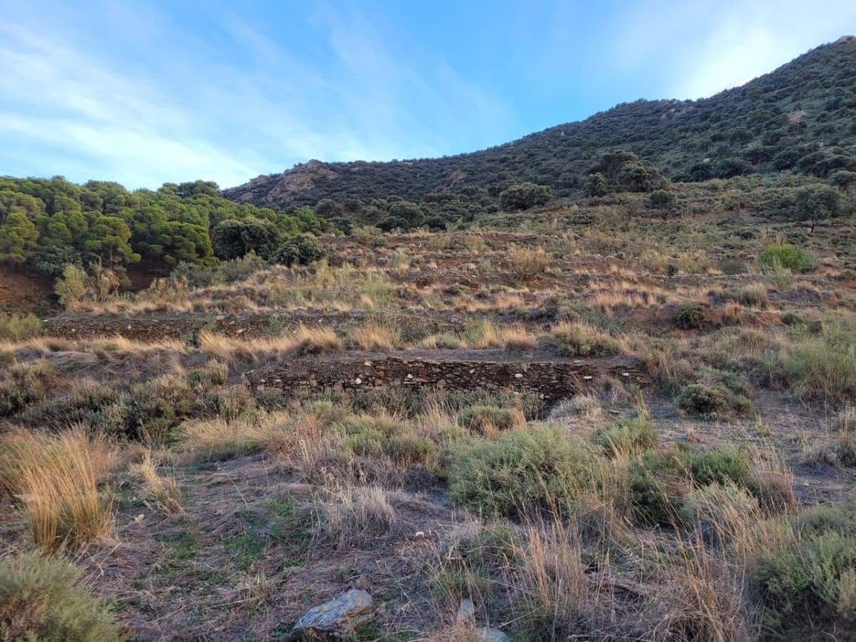 6 soveværelse Finca/Landehus til salg i Tabernas - € 615.000 (Ref: 7957040)